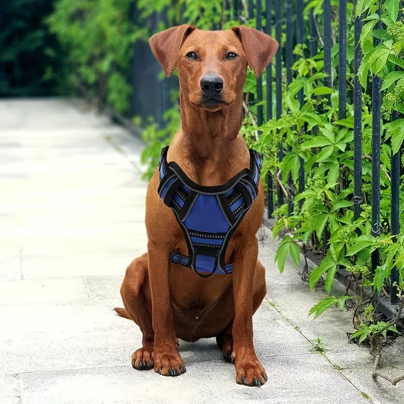 6-in-1 No-Pull Harness Set