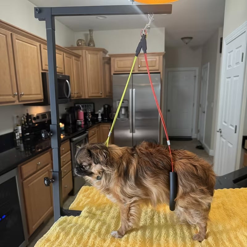Adjustable Grooming Arm