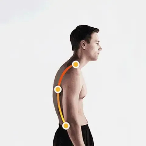 Adjustable Posture Support Brace