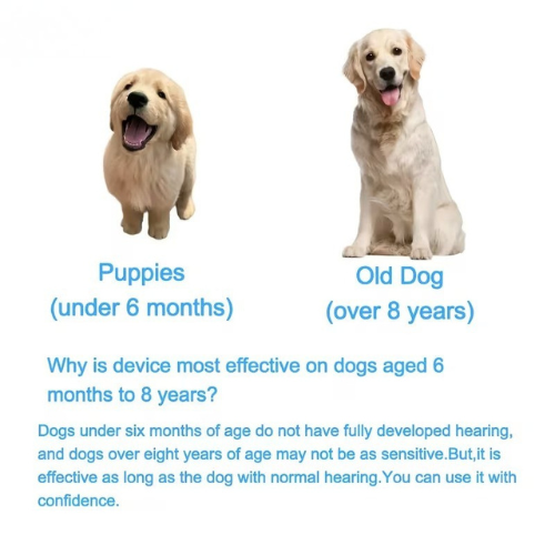 Advanced Rechargeable Bark Deterrent
