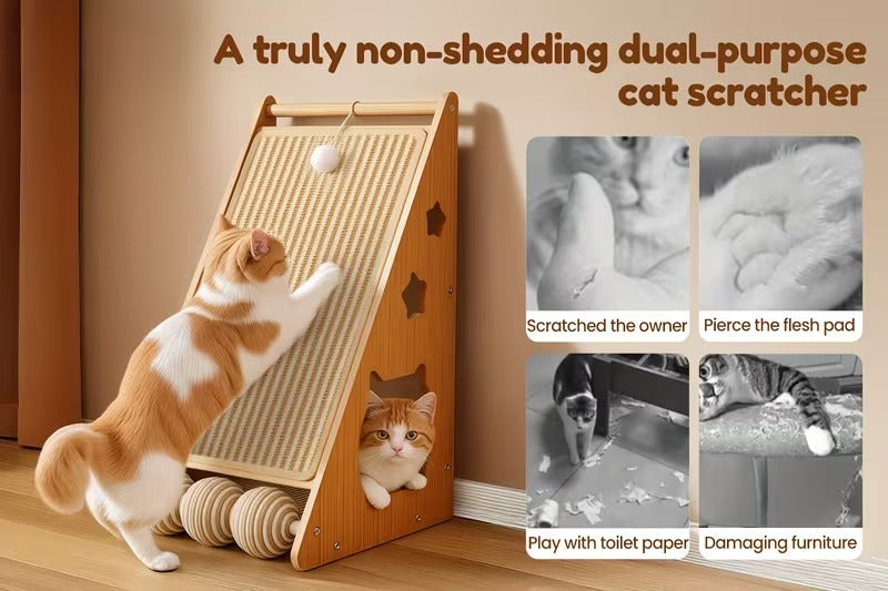 Cat Scratch & Play Board