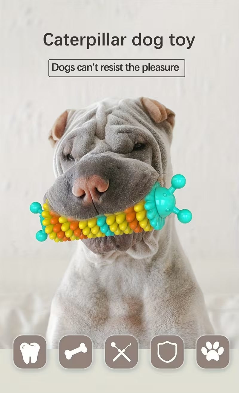 Caterpillar Dog Chew Toy
