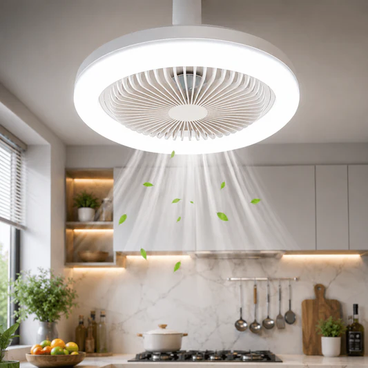 Ceiling Fan Light