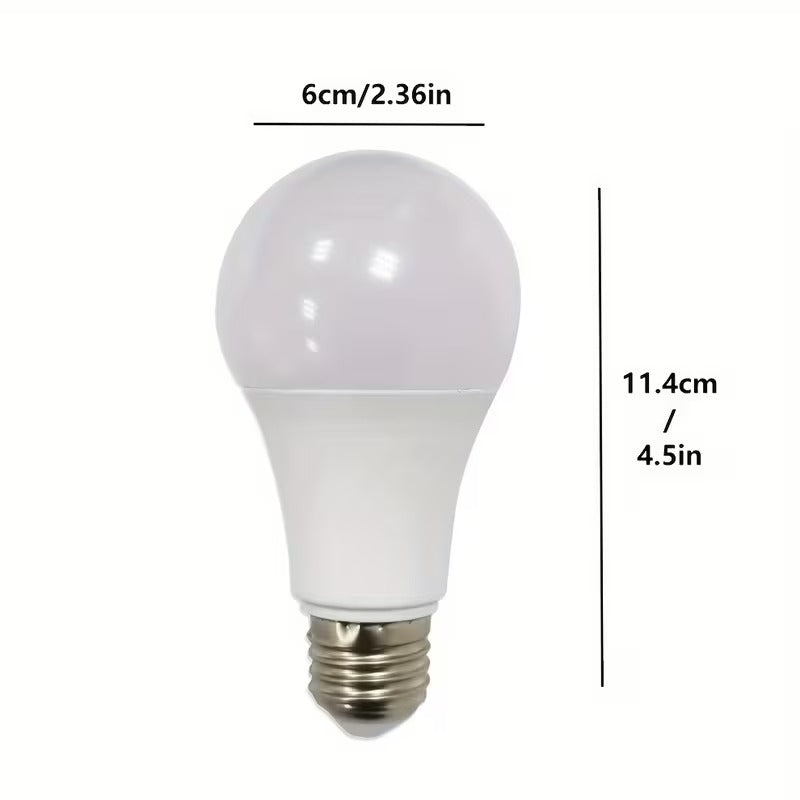Clever Light Bulb Storage Safe