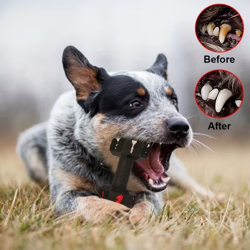 Dumbbell Chew Toy