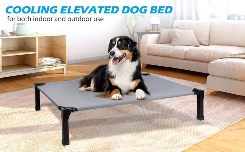Elevated Mesh Dog Bed