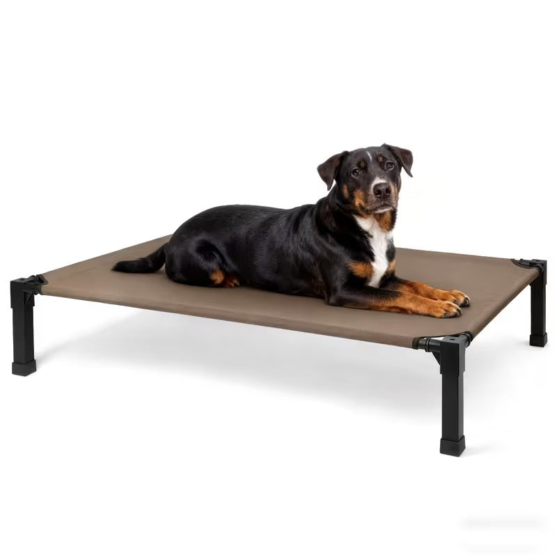 Elevated Mesh Dog Bed