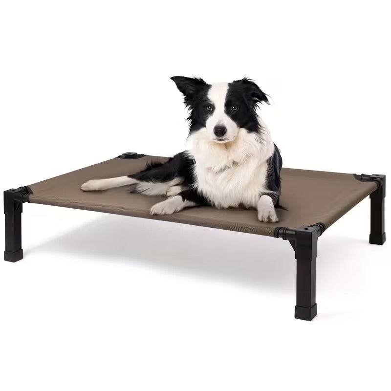 Elevated Mesh Dog Bed