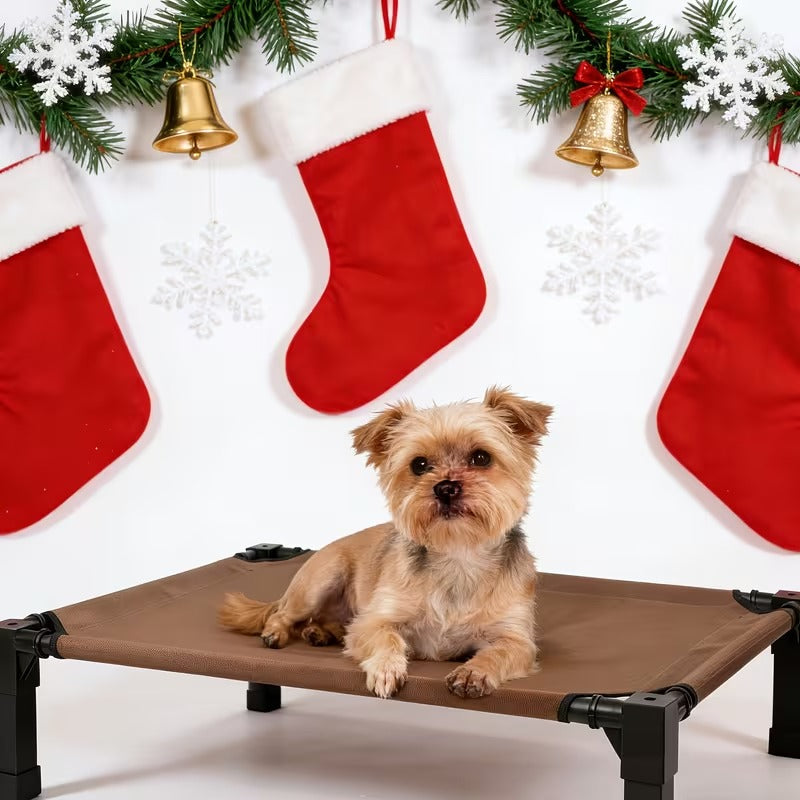 Elevated Mesh Dog Bed
