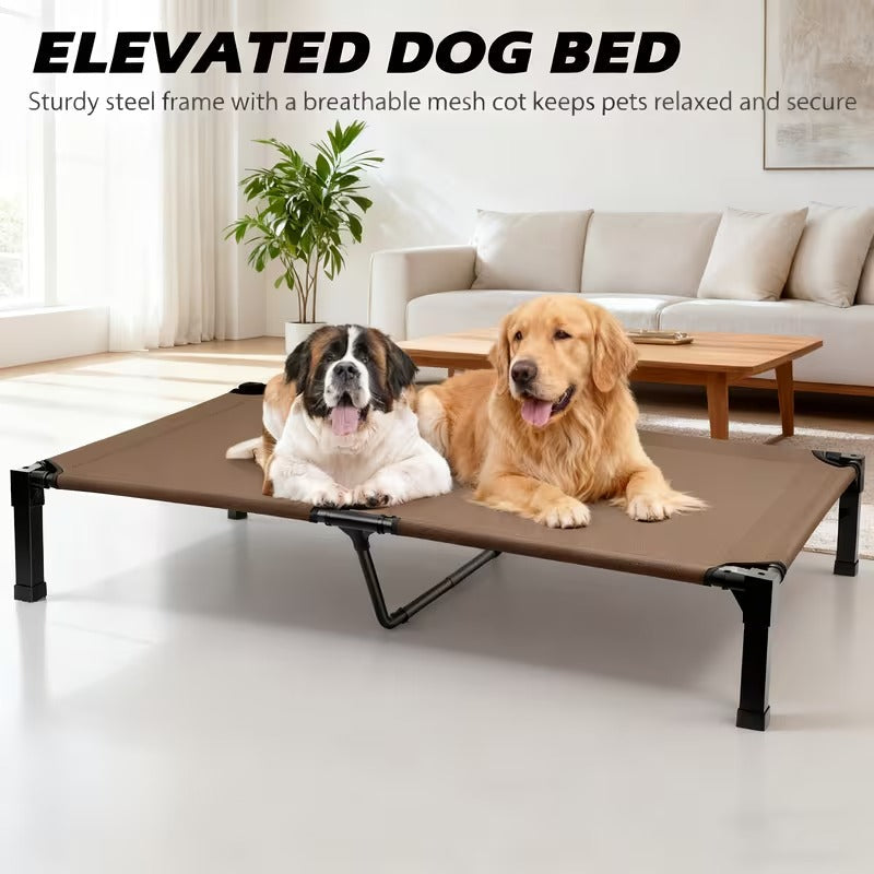 Elevated Mesh Dog Bed