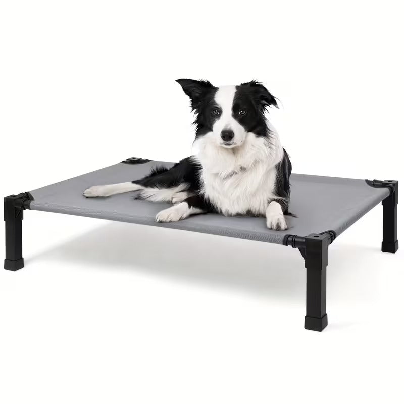 Elevated Mesh Dog Bed