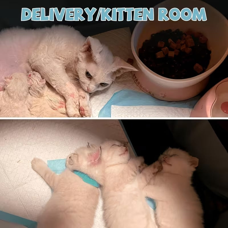Foldable Pet Playpen