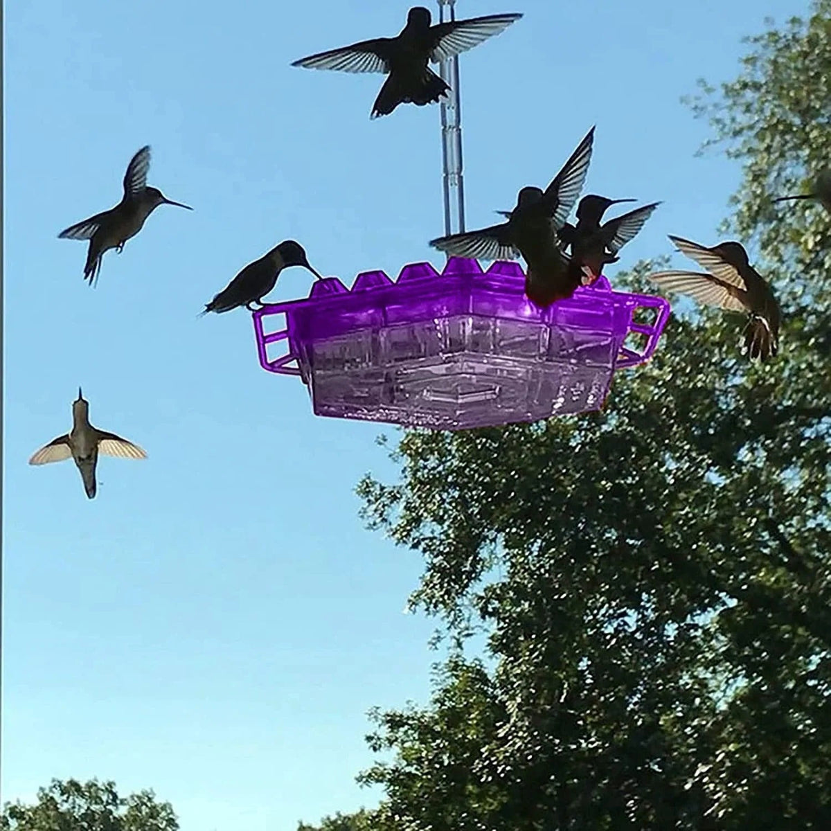 Leakproof Outdoor Hanging Hummingbird Feeder