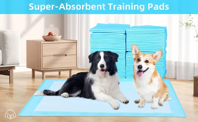 Maximum Absorbency Puppy Training Pads