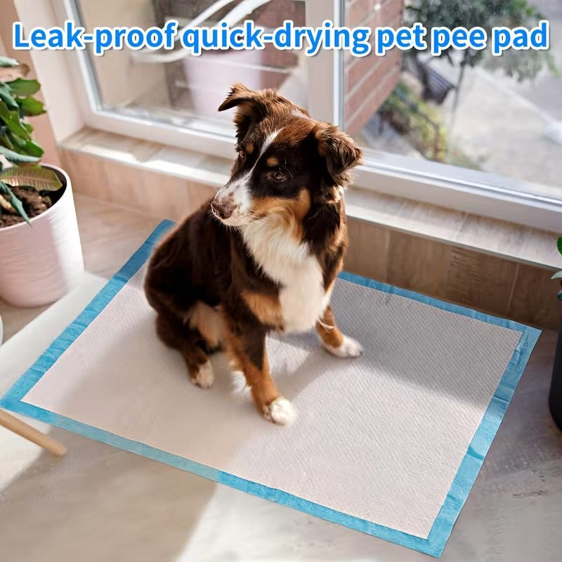 Maximum Absorbency Puppy Training Pads