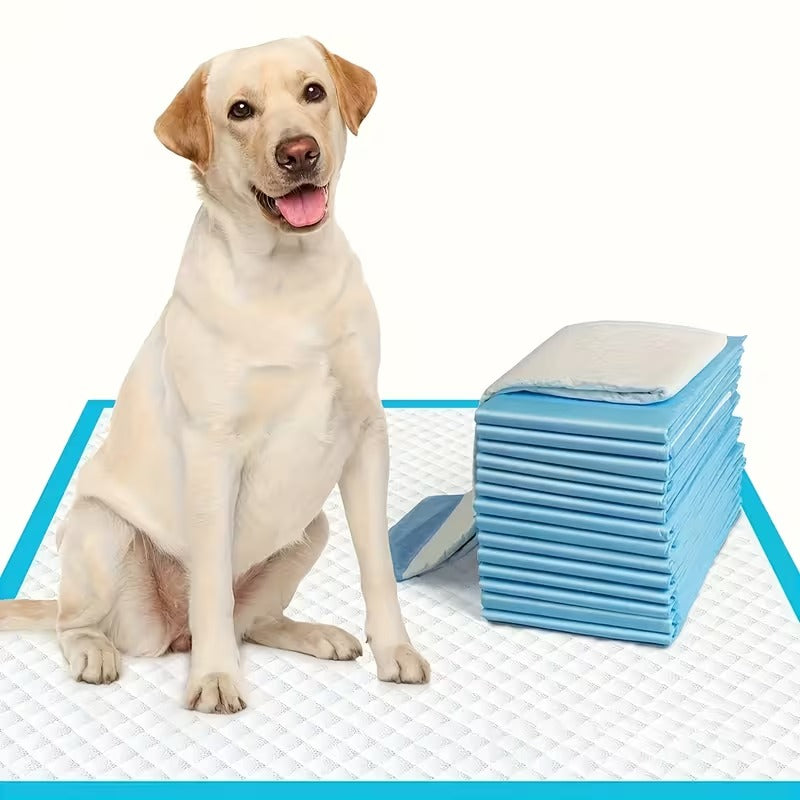 Maximum Absorbency Puppy Training Pads