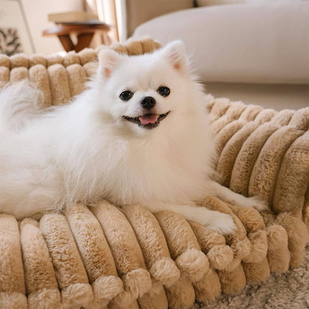 Orthopedic Dog Sofa Bed