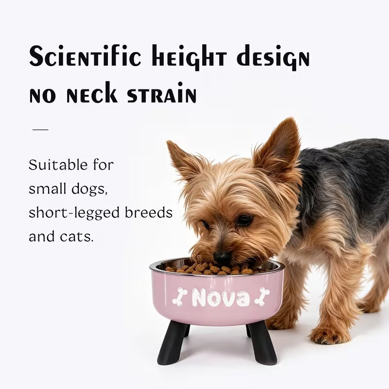 Personalized Elevated Pet Bowl