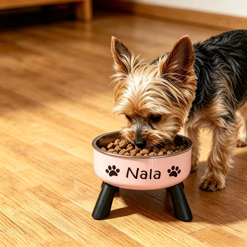 Personalized Elevated Pet Bowl