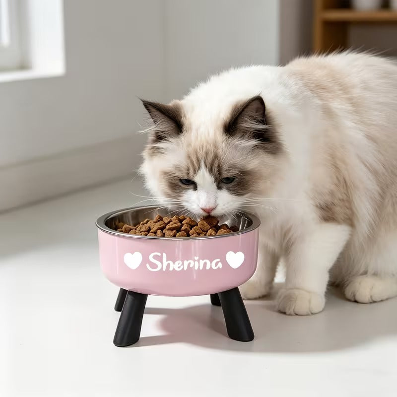 Personalized Elevated Pet Bowl