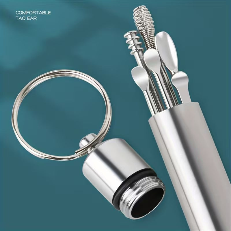 Precision Stainless Steel Ear Pick Set