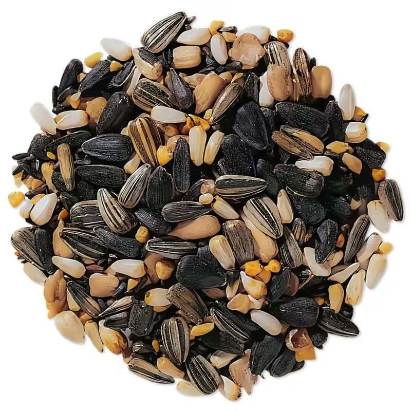 Premium Year-Round Songbird Seed
