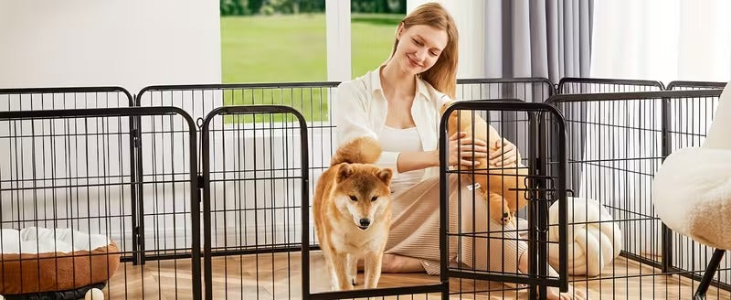 Pro-Grade Modular Dog Playpen