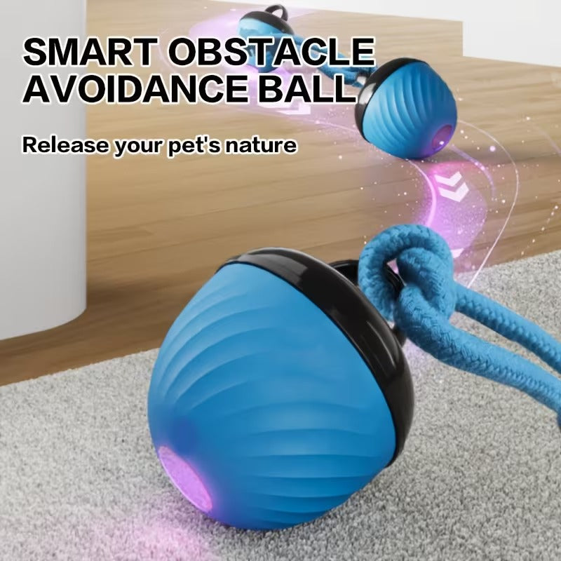 Smart Motion Dog Ball