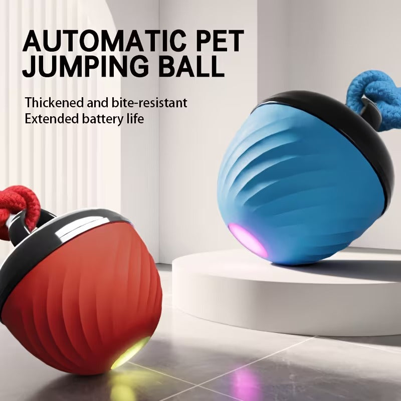 Smart Motion Dog Ball