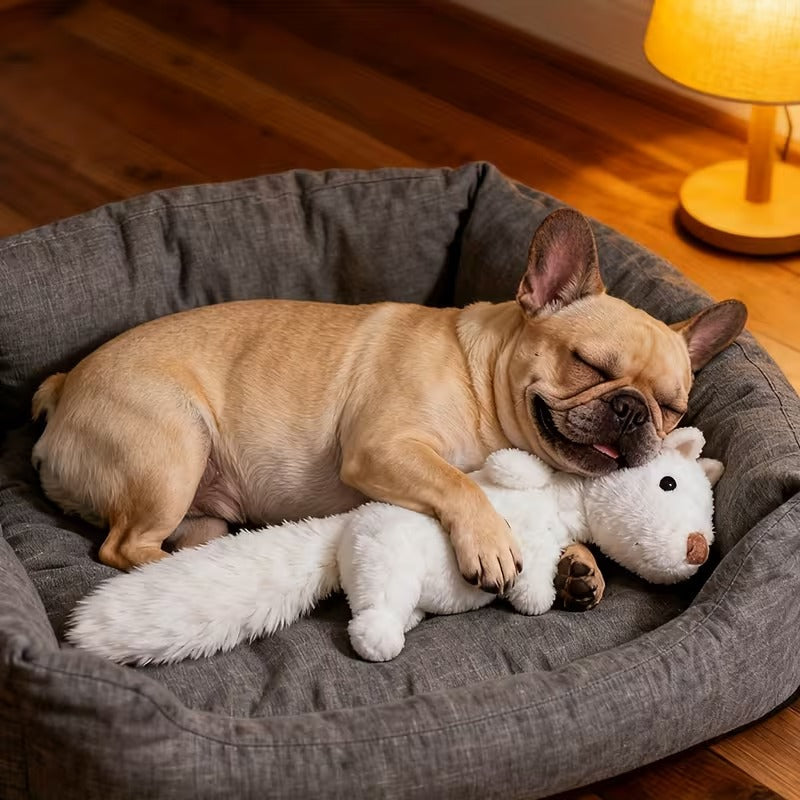 Squeaky Crinkle Plush Toy