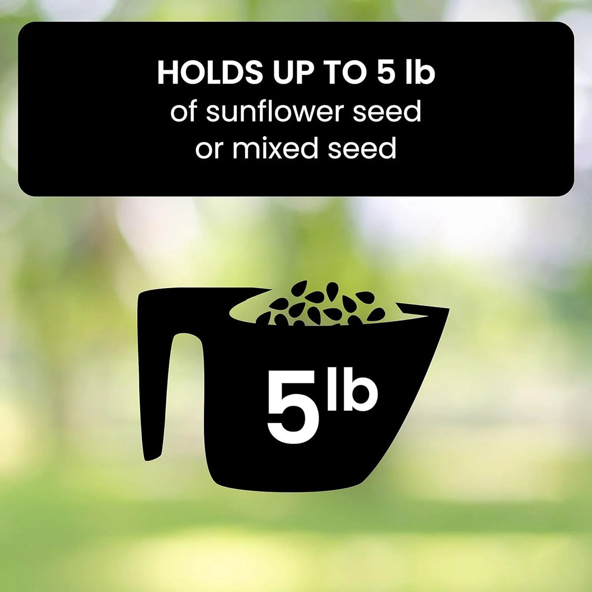 Squirrel-Proof Weight-Activated Bird Feeder