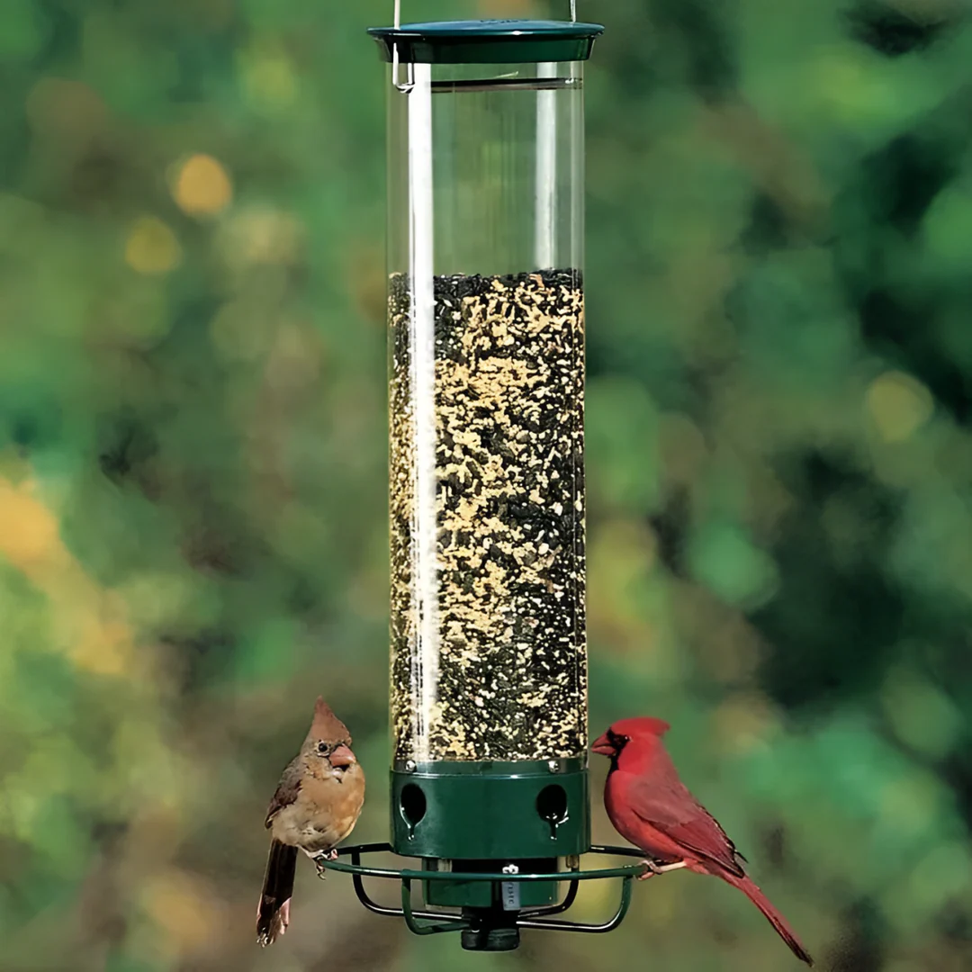 Squirrel-Proof Weight-Activated Bird Feeder