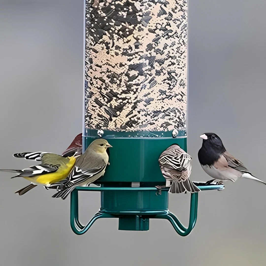Squirrel-Proof Weight-Activated Bird Feeder