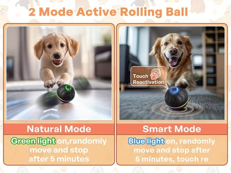 Ultimate Self-Moving Dog Ball