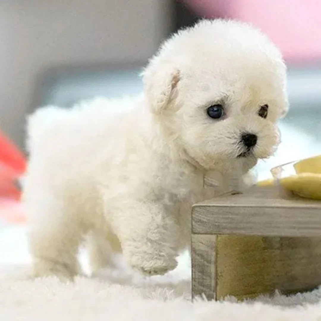 Ultra-Real RoboPup Companion