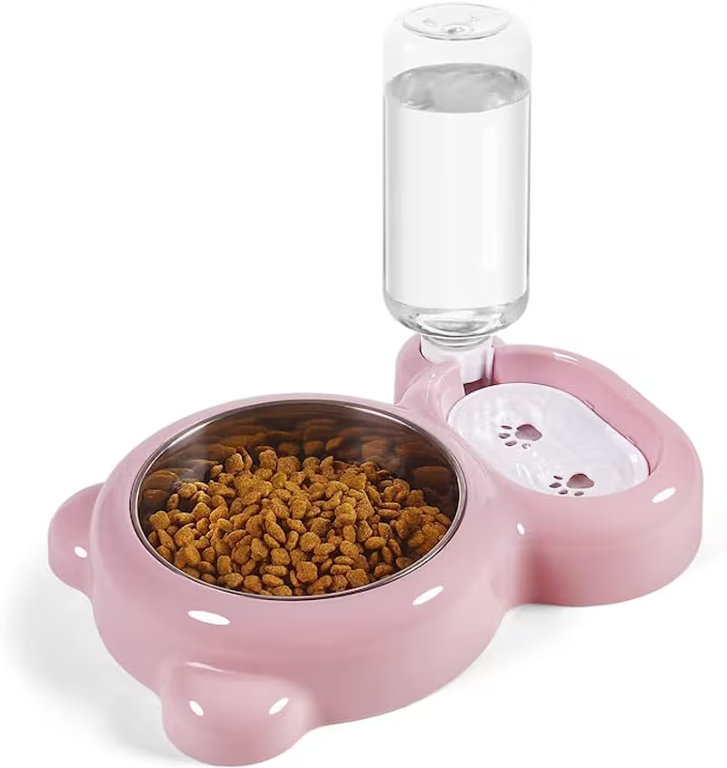 2-in-1 Pet Feeding Station