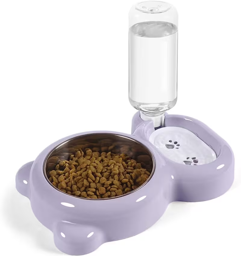 2-in-1 Pet Feeding Station