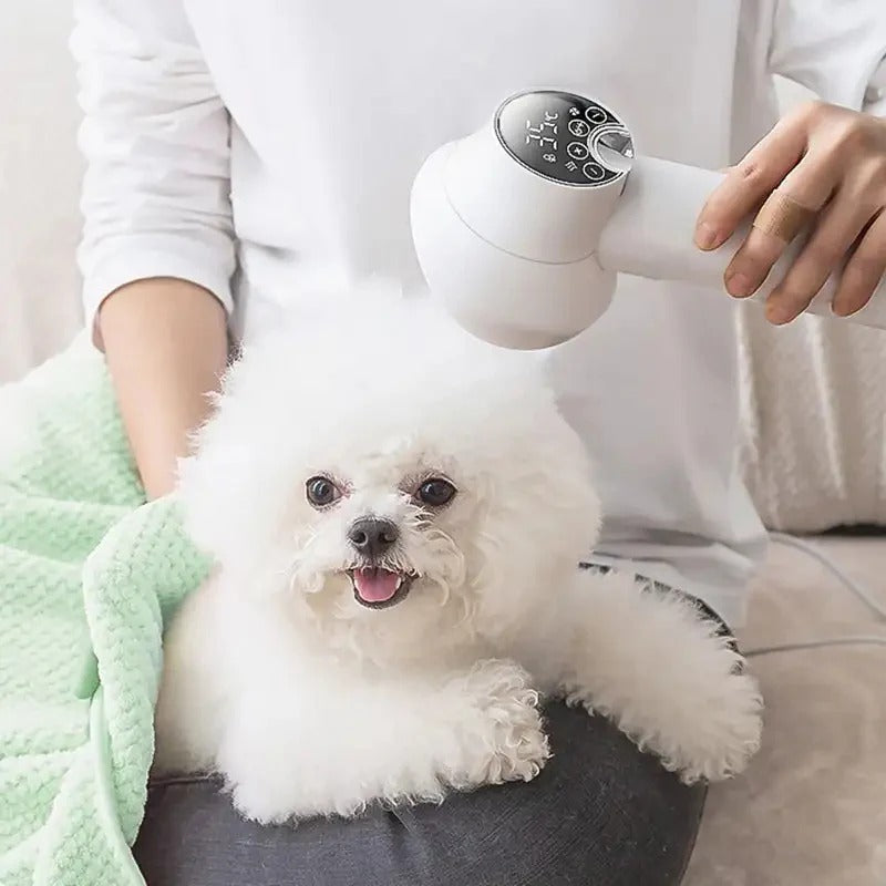 2-in-1 Pet Hair Dryer