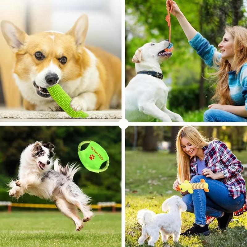 25-Piece Puppy Toy Set