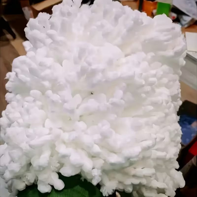 360° Microfiber Mop Heads