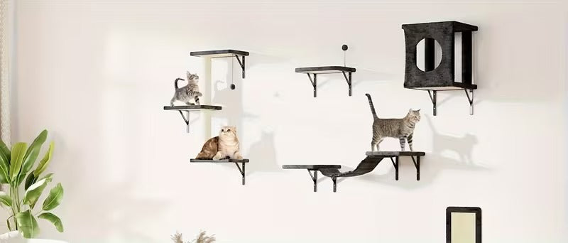 5-Piece Cat Wall Playground