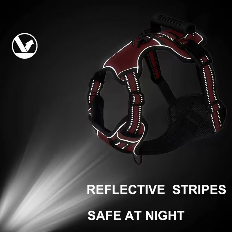 6-in-1 No-Pull Harness Set