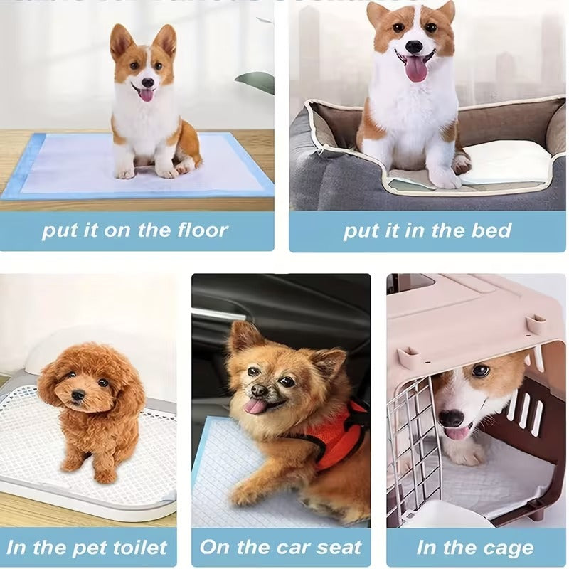Absorbent Disposable Bed Pads