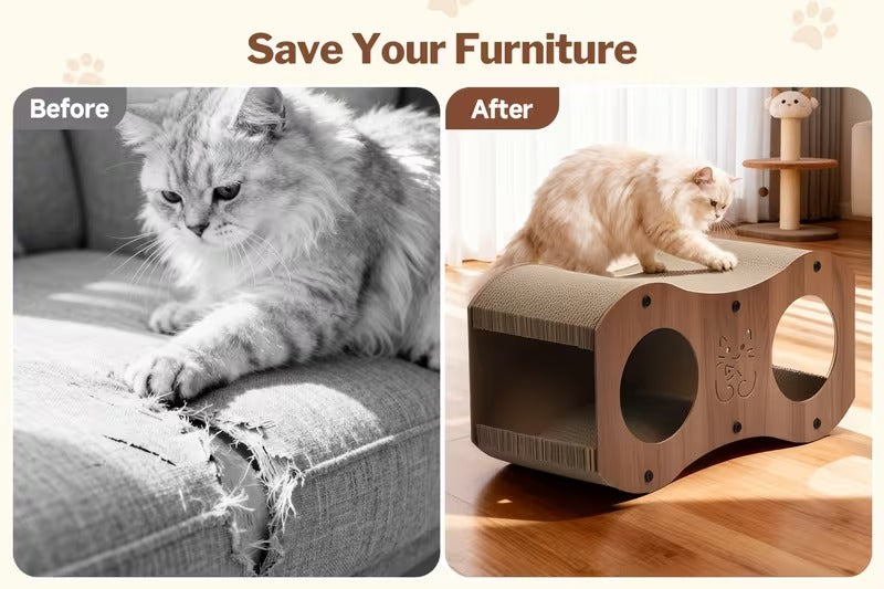 Cat Scratch House & Lounger
