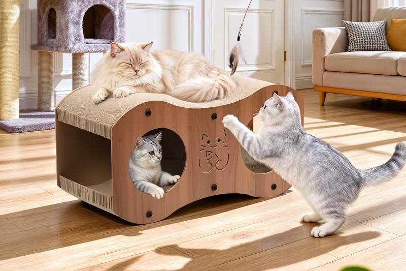Cat Scratch House & Lounger