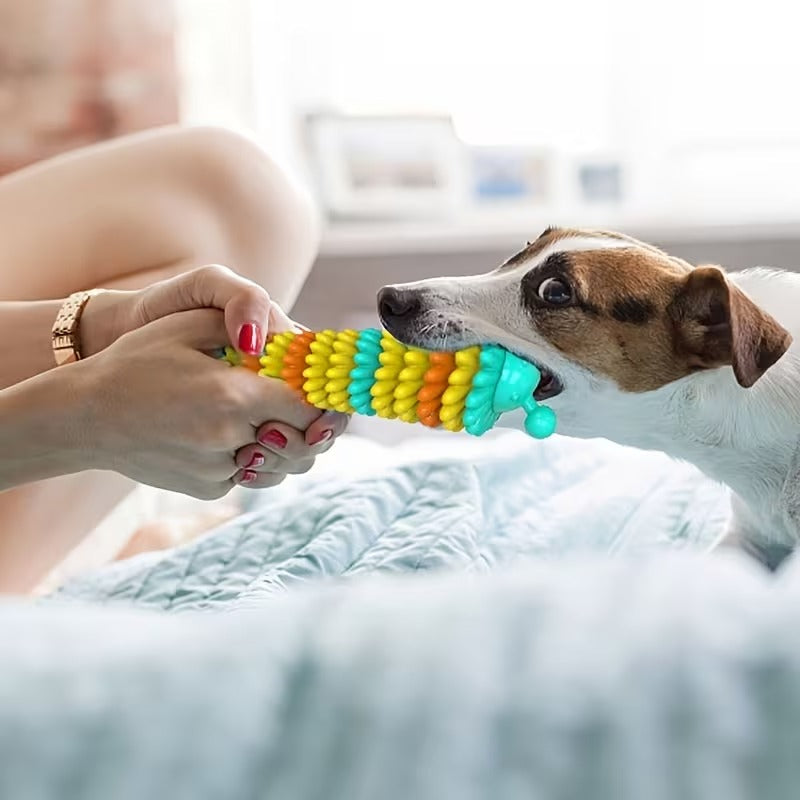 Caterpillar Dog Chew Toy