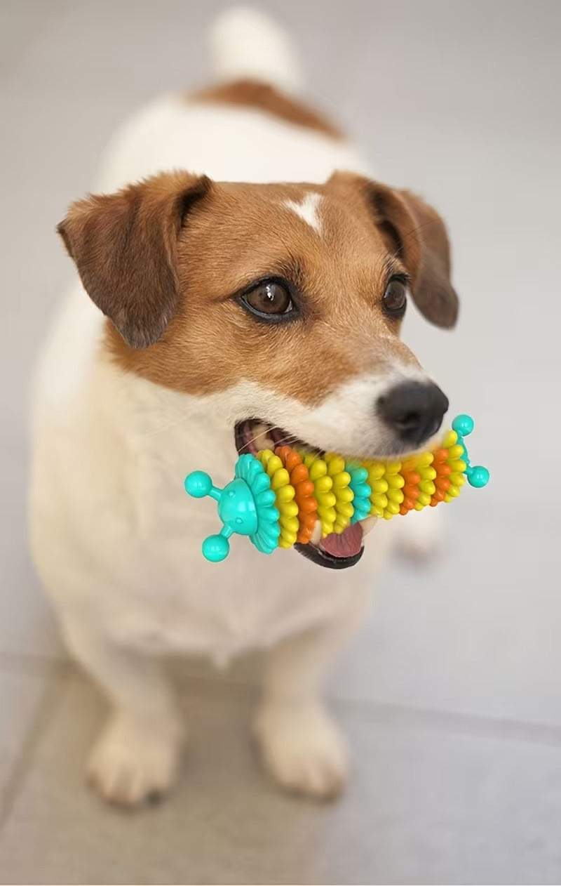 Caterpillar Dog Chew Toy