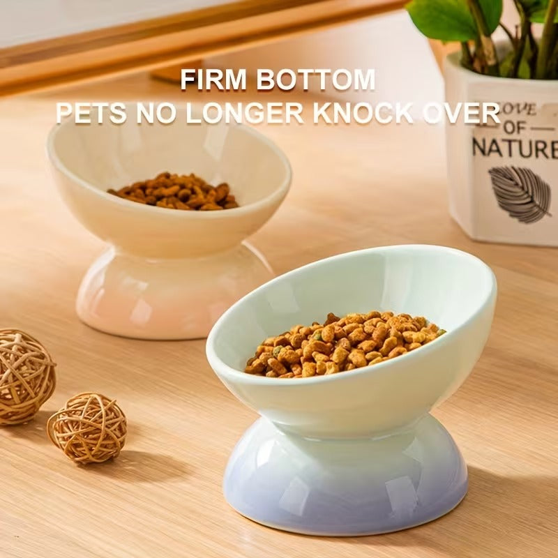 Elevated Ceramic Pet Bowl