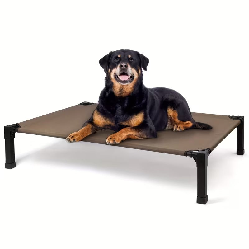 Elevated Mesh Dog Bed