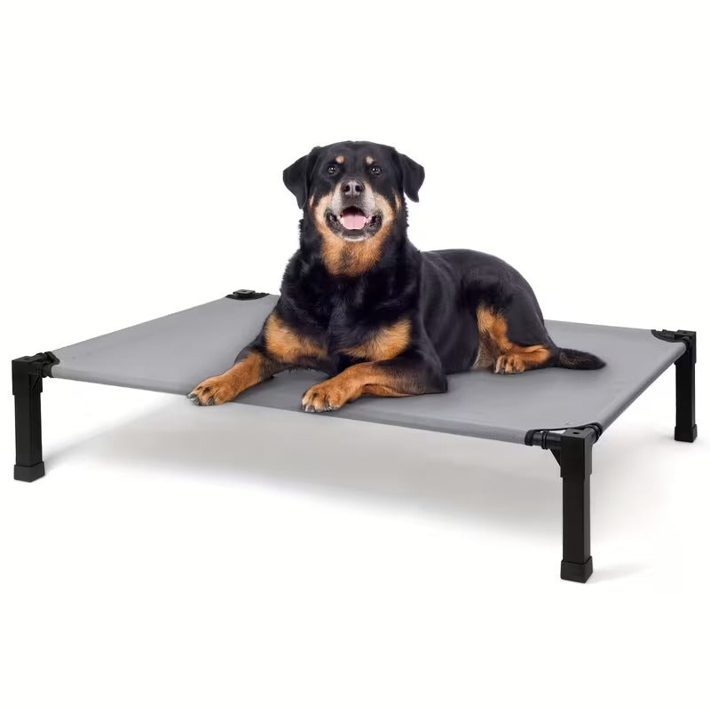 Elevated Mesh Dog Bed